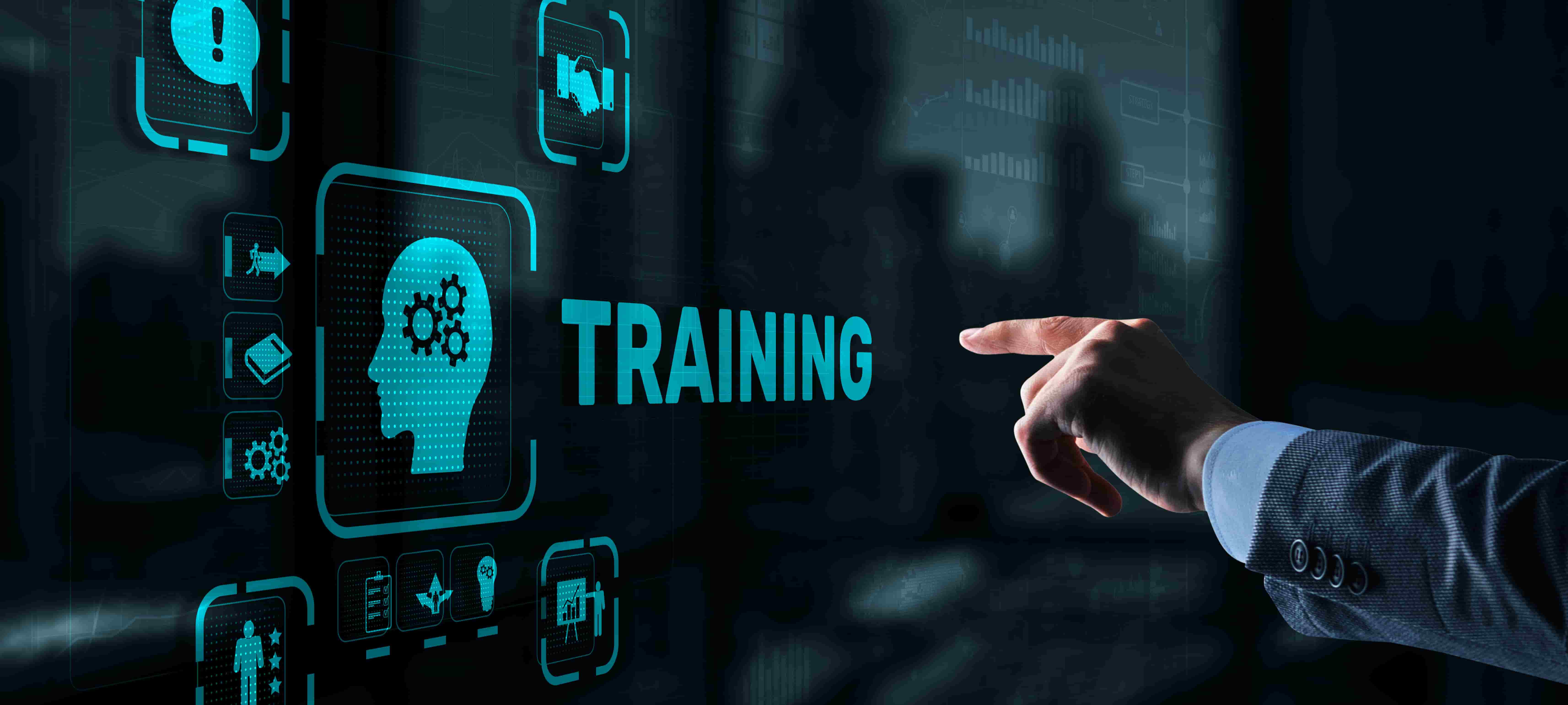 Domain-Specific Model Fine-Tuning