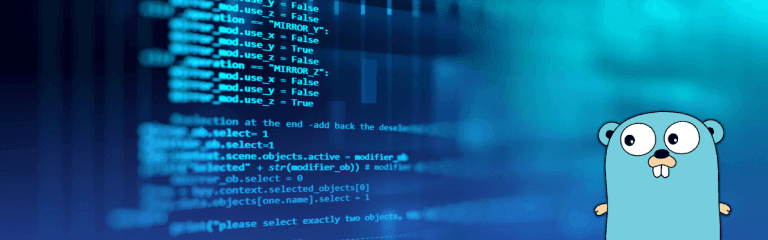 Golang development workspace